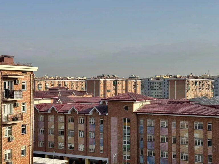 Toshkentda talabalar soxta ijara eʼlonlaridan ehtiyot boʻlishga chaqirildi