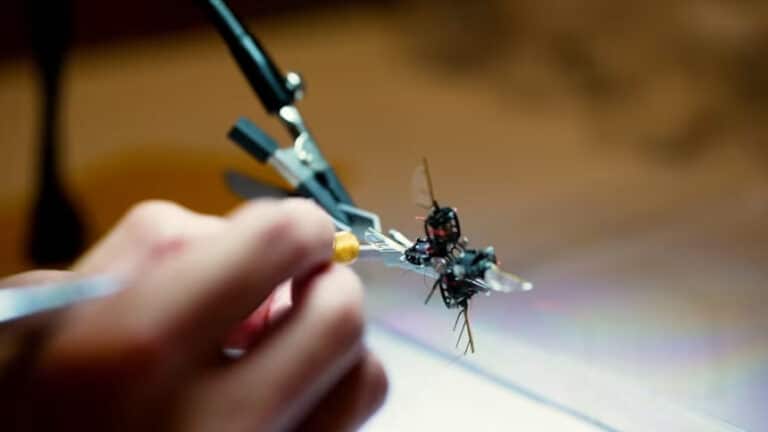 Marsda o‘simliklarni changlatishi mumkin bo‘lgan robot-ari yaratildi — video