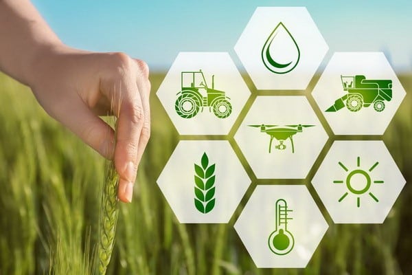 Jizzaxda 400 million dollarlik O‘zbekiston-Xitoy innovatsion markazi quriladi