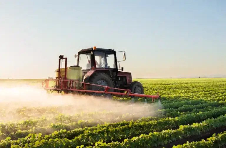 Uzbekistan Allows Secondary Lease of Agricultural Land