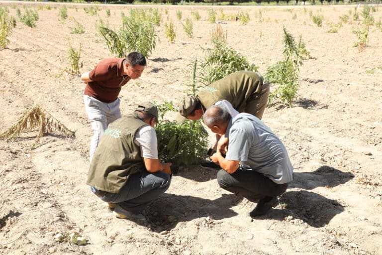 UNDP Delivers Mobile Lab for Sustainable Farming in Aral Sea Region