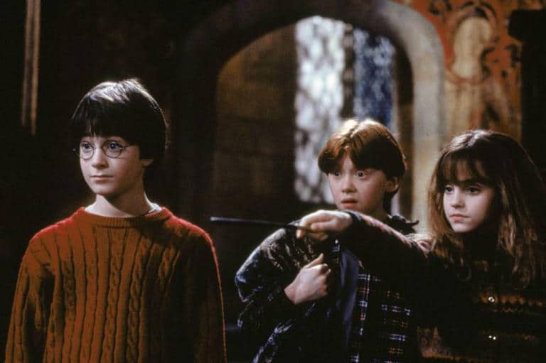 Harry Potter remake divides fans after new casting