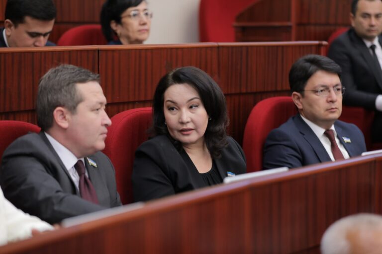 Агентство по делам молодежи под прицелом депутатов: жалобы на работу в регионах