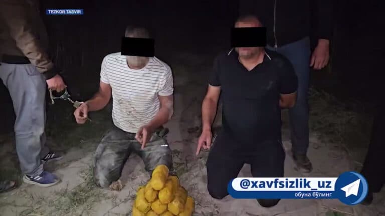 Farg‘ona va Qoraqalpog‘istonda yirik miqdordagi giyohvandlik moddalari to‘xtatib qolindi