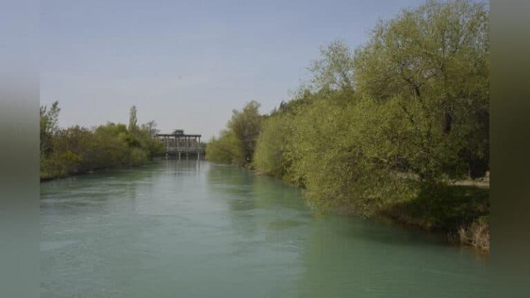 Bo‘zsuv kanalidagi ifloslanish uchun 1,5 mlrd so‘mlik kompensatsiya belgilandi