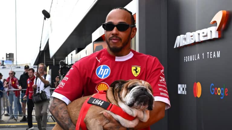 Lewis Hamilton Mourns the Loss of His Beloved Dog Roscoe