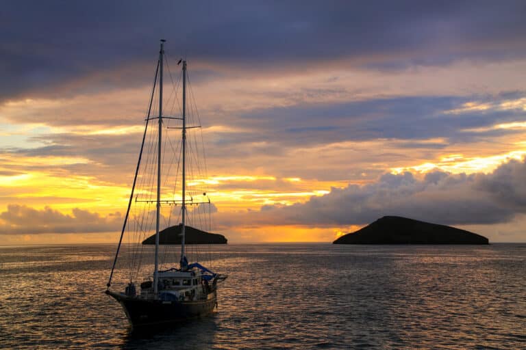CBP Intercepts Sailing Vessel with 13 Undocumented Migrants from Central Asia