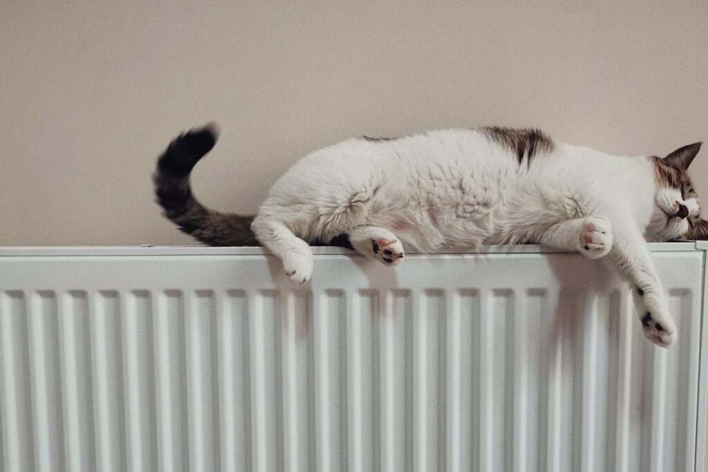 Toshkentda isitish mavsumi 3-noyabrdan boshlanishi mumkin