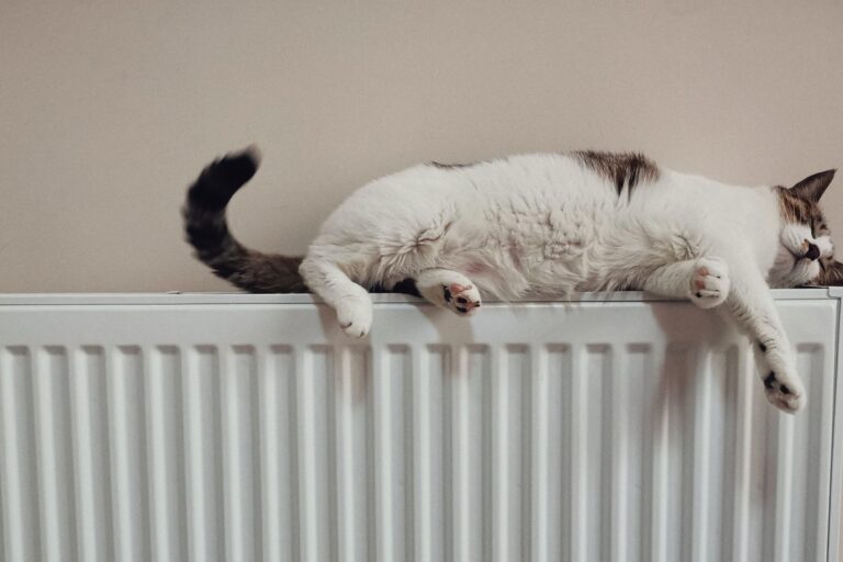 Toshkentda isitish mavsumi 3-noyabrdan boshlanadi