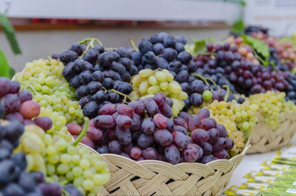 O‘zbekiston uzum eksportini 1,6 baravarga oshirdi