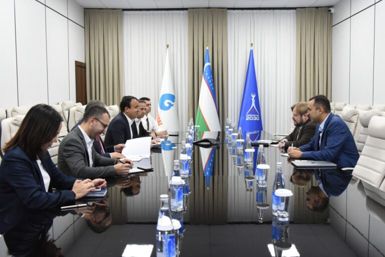 Uzbekneftegaz Meets McKinsey to Bolster Energy Sector Stability