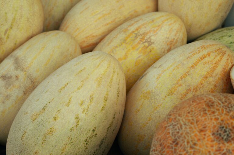 First Shipment of Uzbek Torpedo Melons Arrives in Singapore