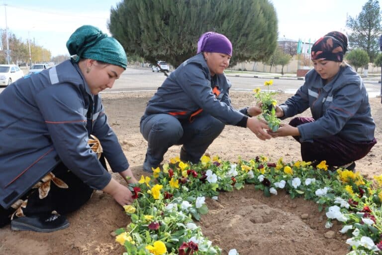 Toshkent shahrida gul ko‘chatlarini ekishga 10 mlrd so‘m ajratildi