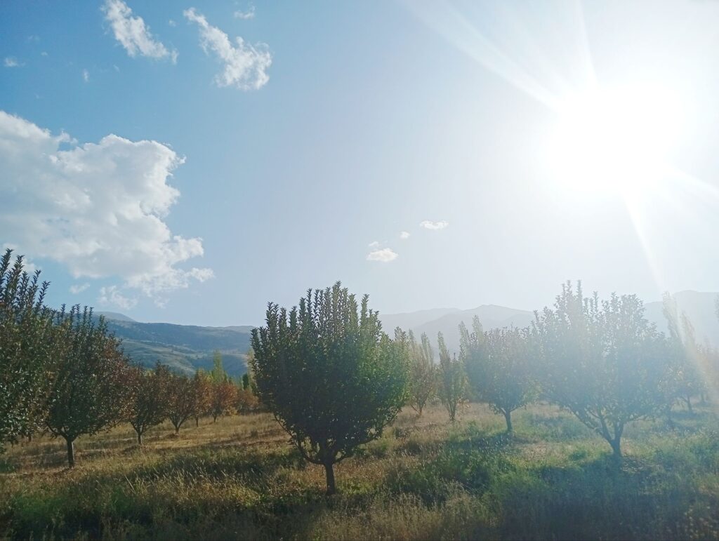 Бахмальский район