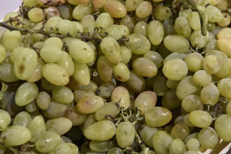 Rossiyada O‘zbekistondan keltirilgan 20 tonnadan ortiq uzum qaytarib yuborildi