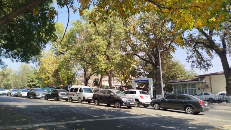 Солнечно и безветренно: прогноз погоды на 17 октября