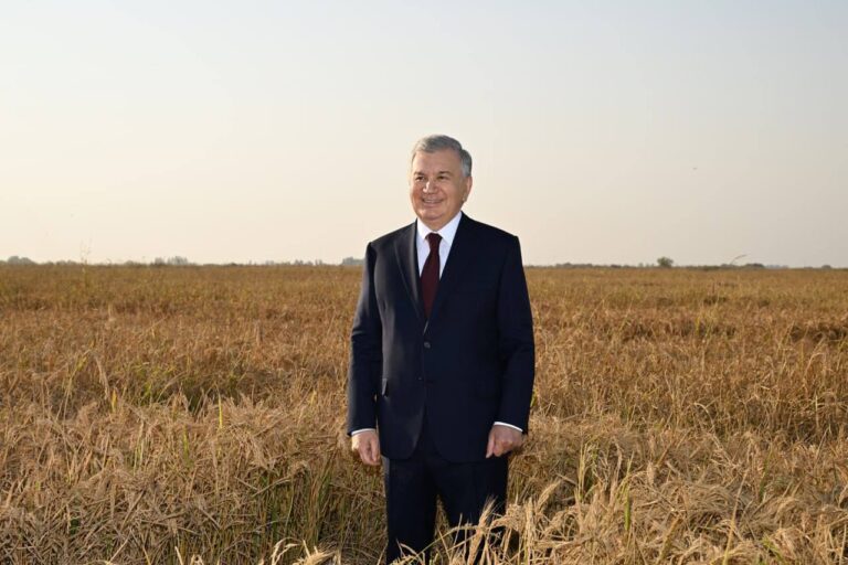 Prezident sholichilik klasteri faoliyati bilan tanishdi