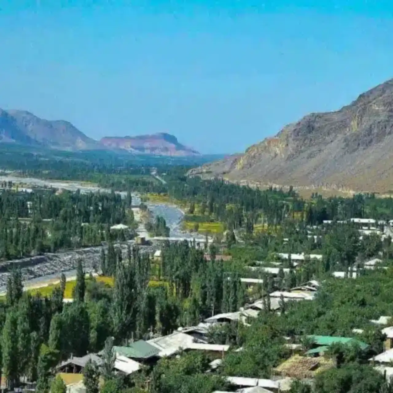 Juda katta dumba bilan anal jinsiy aloqani tomosha qiling