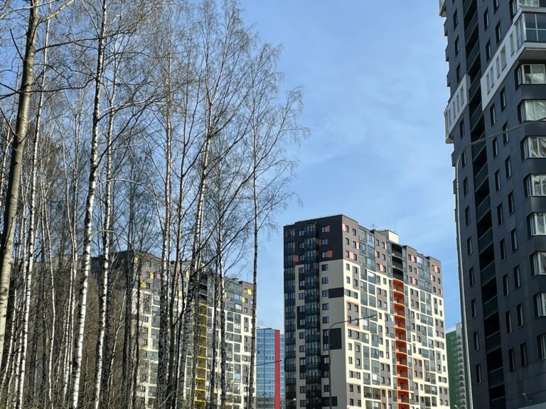 Что прогнозируют синоптики на пятницу