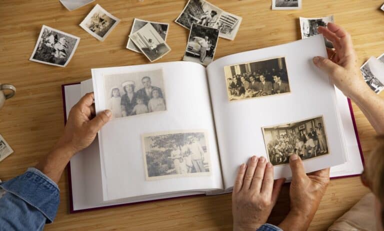 O‘zbekistonda «Shajara» axborot tizimi yo‘lga qo‘yiladi