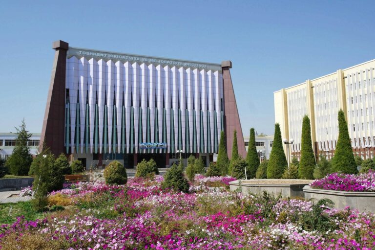 23 узбекских вуза вошли в число лучших университетов Азии