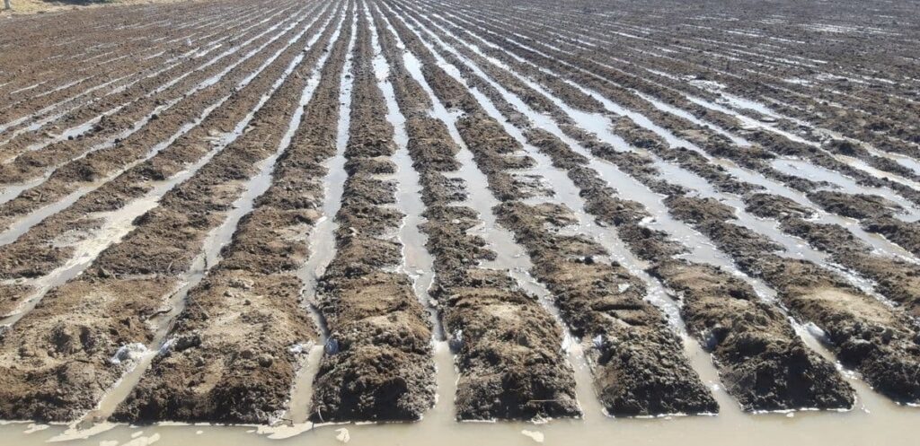 Toshkent viloyatida fermer xo‘jaligining yerini sotmoqchi bo‘lganlar ushlandi