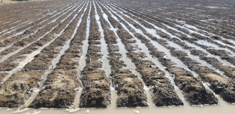 Toshkent viloyatida fermer xo‘jaligining yerini sotmoqchi bo‘lganlar ushlandi