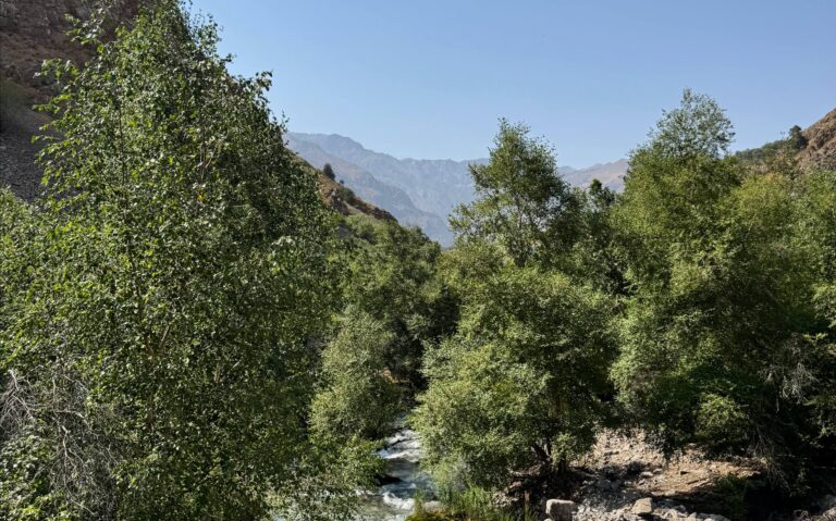 Прогноз погоды на 14 ноября: до +22° тепла