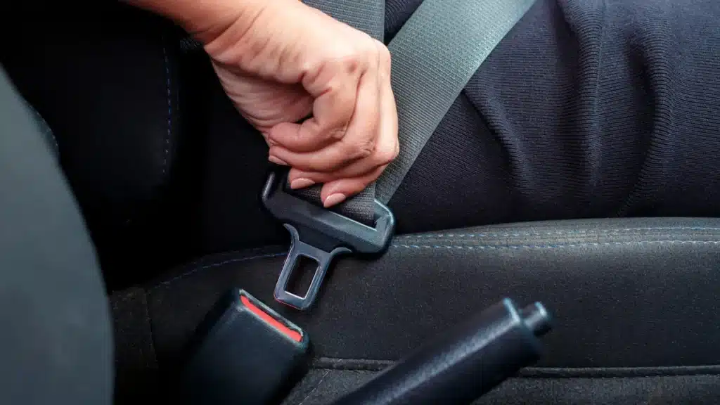 Фото: Maderla / Shutterstock / FOTODOM