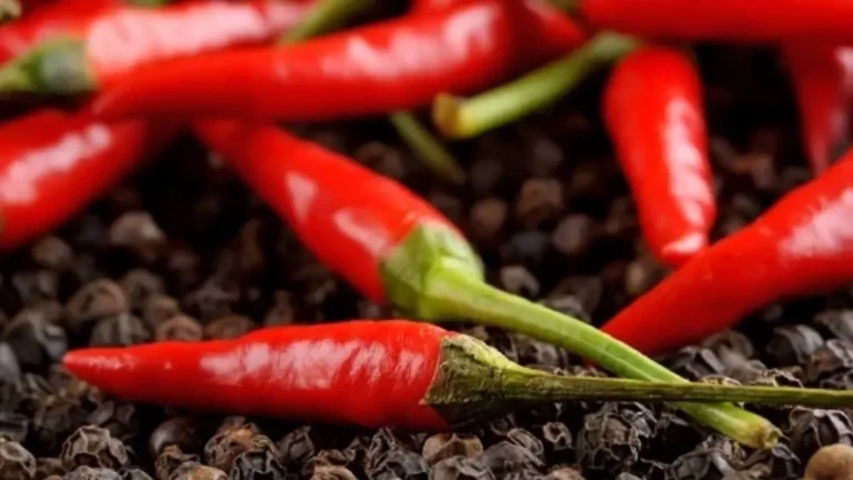 Uzbek Trader Faces $167k Bill for Two Peppers After Typo