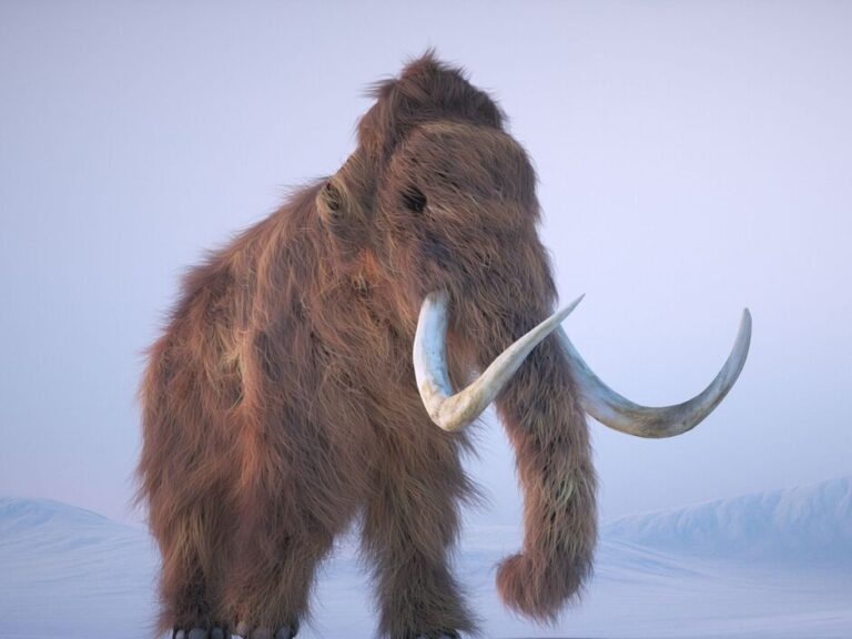 Scientists Extract 40,000-Year-Old RNA from Woolly Mammoth Remains