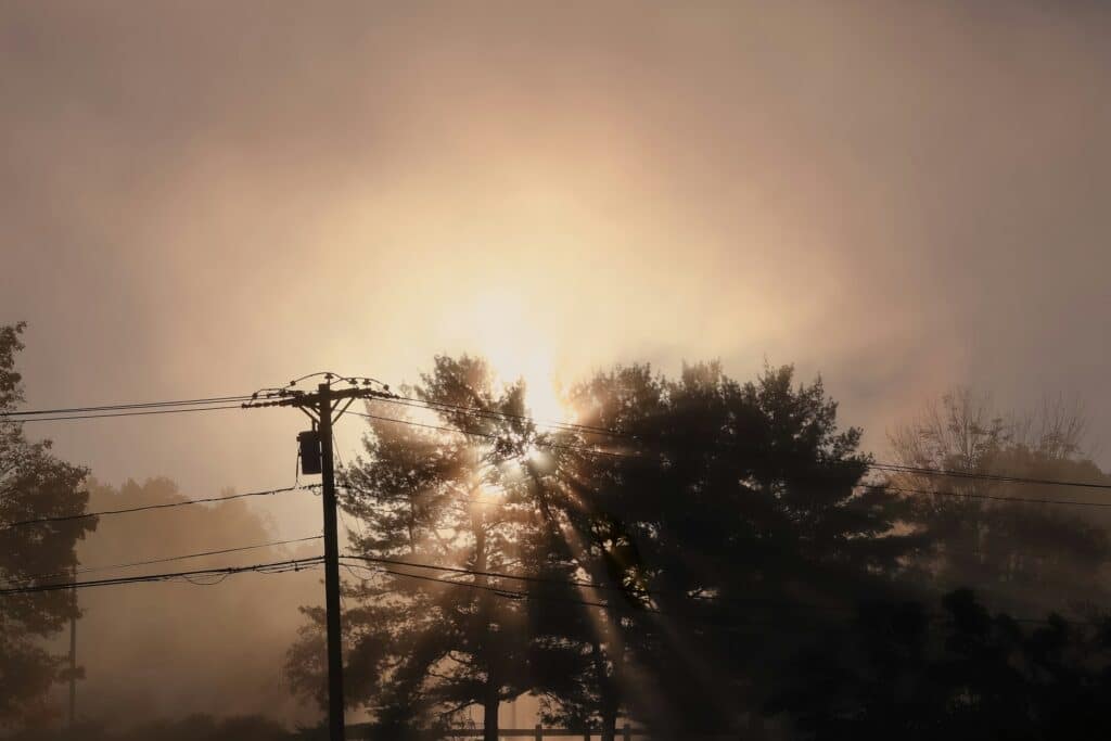 Прогноз погоды на 22 ноября в Ташкенте