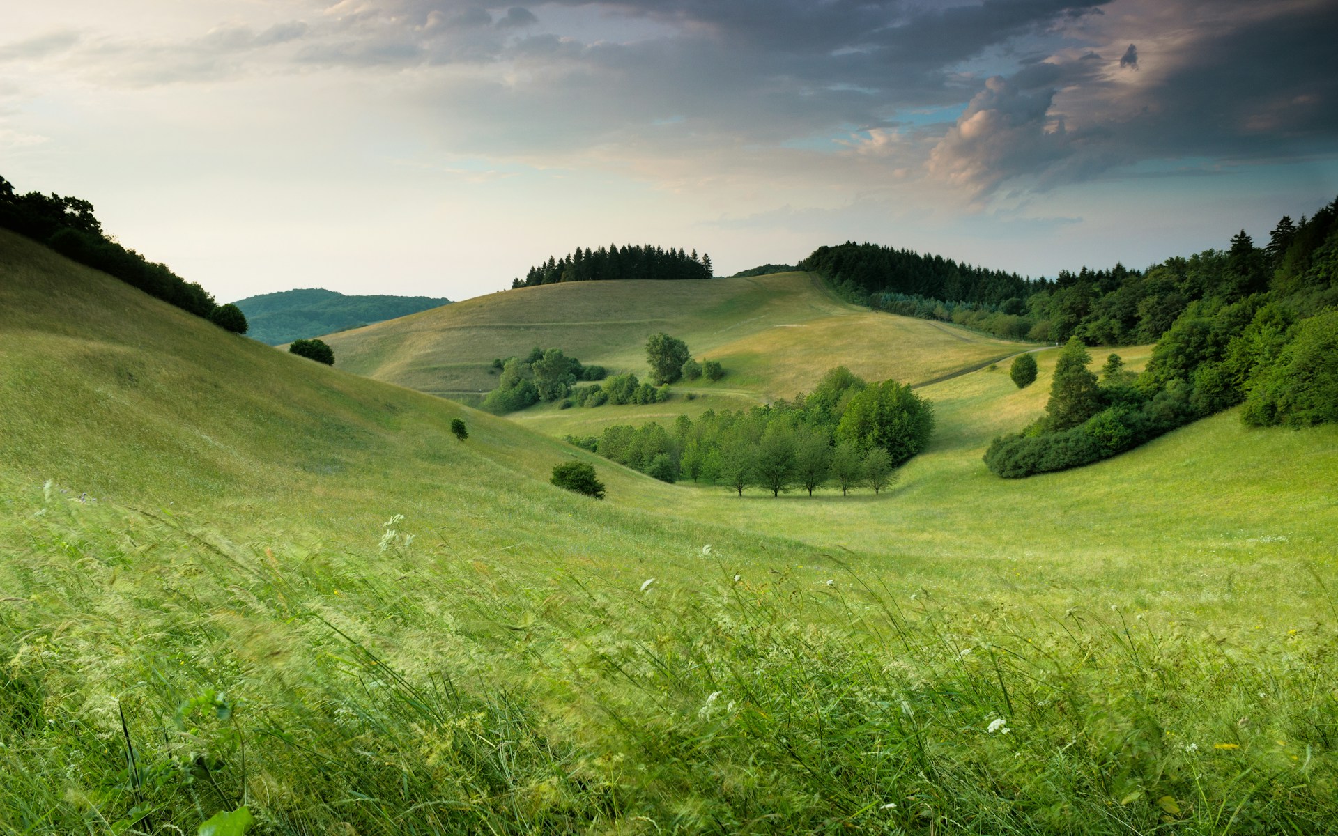 Самаркандская декларация