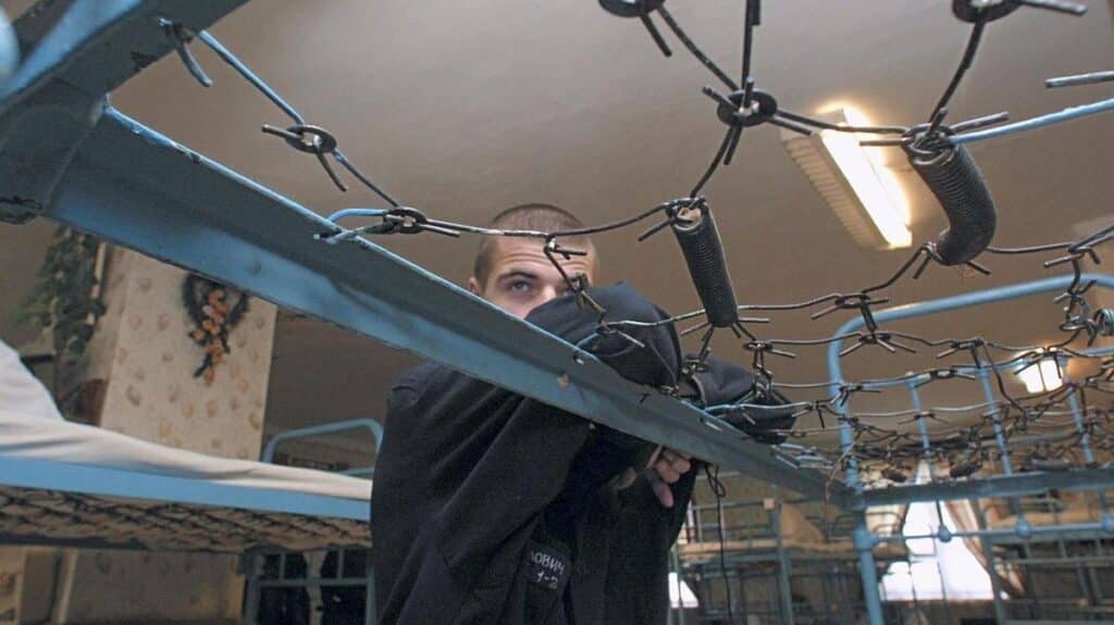 Rossiya hibisxonalari