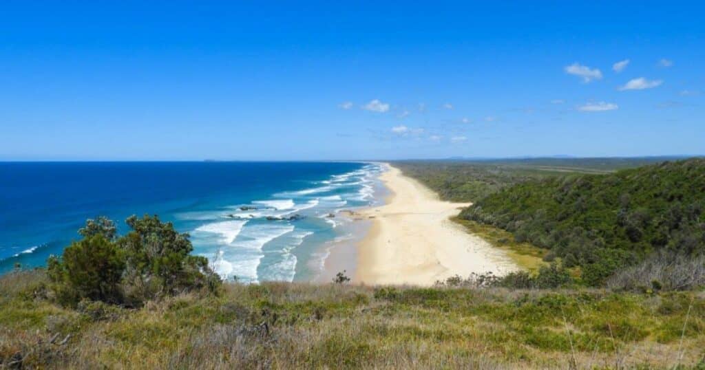 Shark Attack at Australian Beach Kills Woman, Injures Man