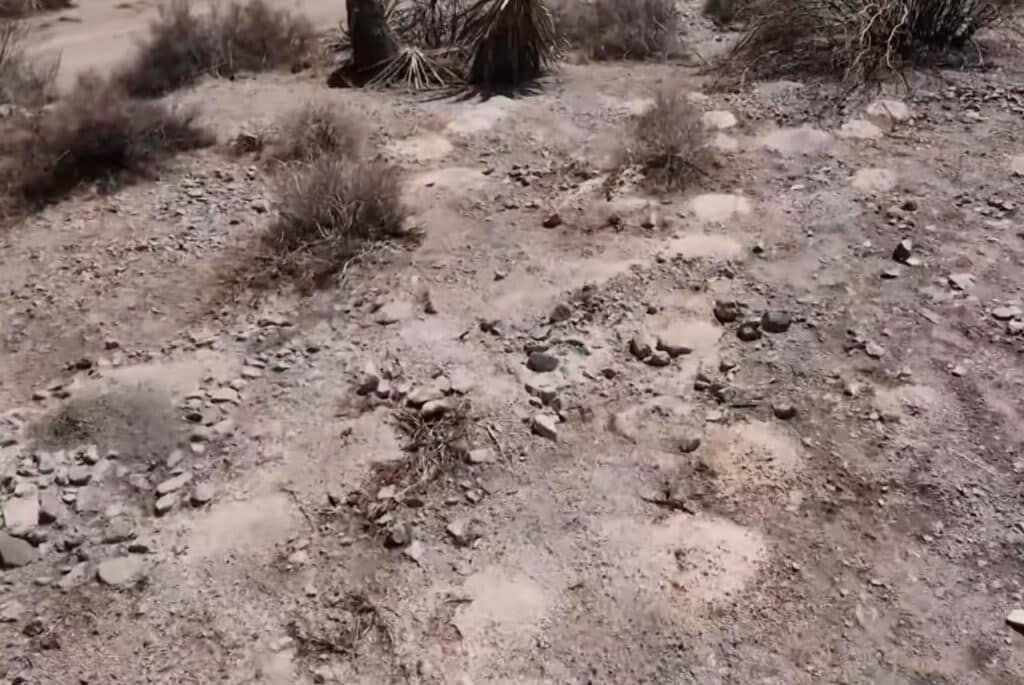 More Than 300 Sets of Human Ashes Unearthed in Nevada Desert