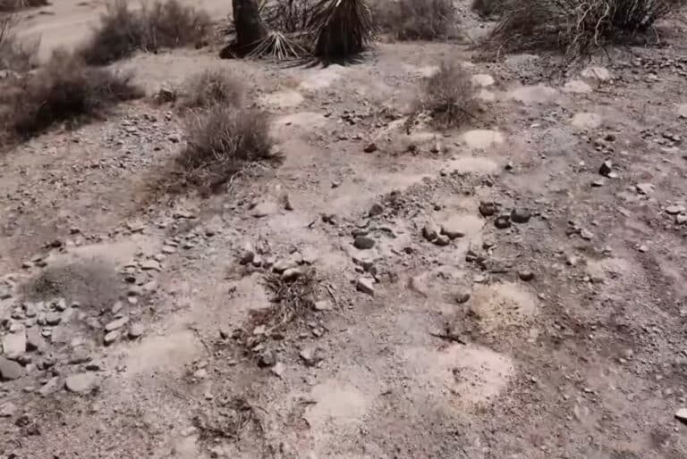 More Than 300 Sets of Human Ashes Unearthed in Nevada Desert