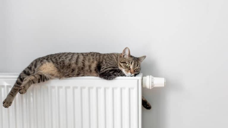 Toshkentdagi turar joylarda issiqlik ta’minoti 5-noyabrdan yoqiladi