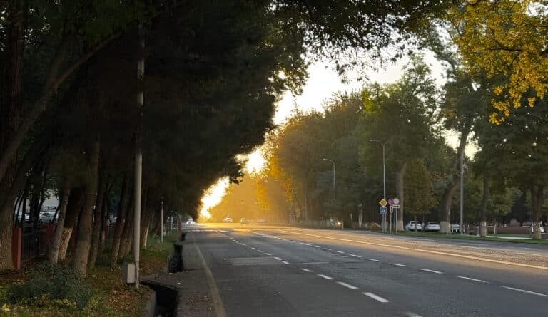 Ташкент ждет теплый день без осадков