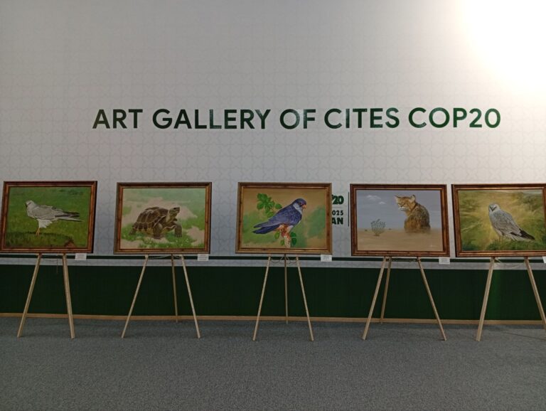 На конференции CITES открылась арт-галерея — фоторепортаж