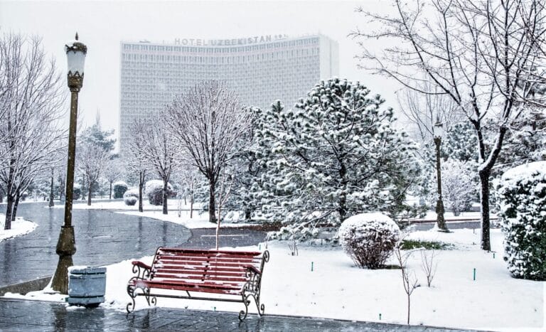 Tashkent for the Festive Season: What to See and Do This Winter