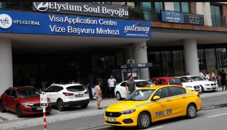 Türkiye Plans Electronic Work Visas and Migrant Database for Uzbek Citizens