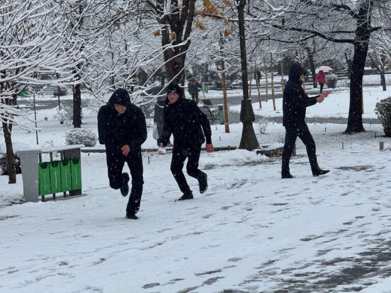 Toshkentda birinchi qor — fotoreportaj
