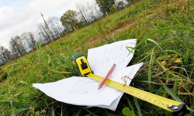 Toshkentdagi korxonasini Sirdaryoga ko‘chiradigan tadbirkorlarga yerlar chegirma bilan beriladi
