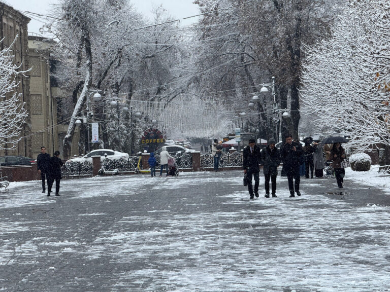 31-dekabrda qor yog‘adimi