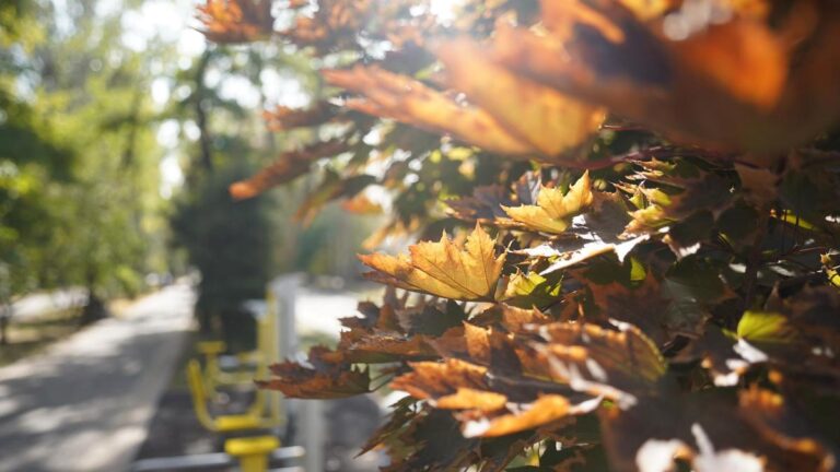 Qozog‘istonda 54 yillik harorat rekordi yangilandi