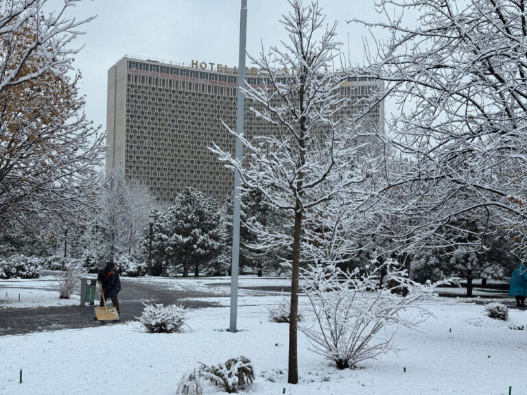 O‘zbekistonda Disneyland, Toshkent bozorlarida Yangi yil savdo yarmarkalari — 20-dekabrning muhim hodisalari