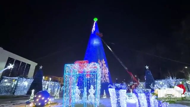 Самую высокую новогоднюю елку в Ташкенте установили у Национальной библиотеки
