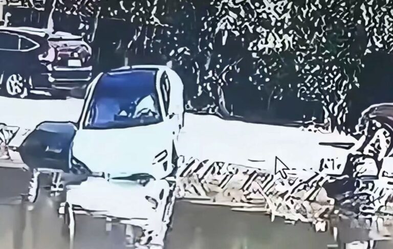 Xiaomi SU7 «avtoparkovka» paytida hovuzga tushib ketdi — video