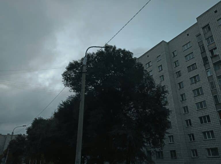 В Ташкенте 30 декабря ожидается небольшой дождь и до 13° тепла